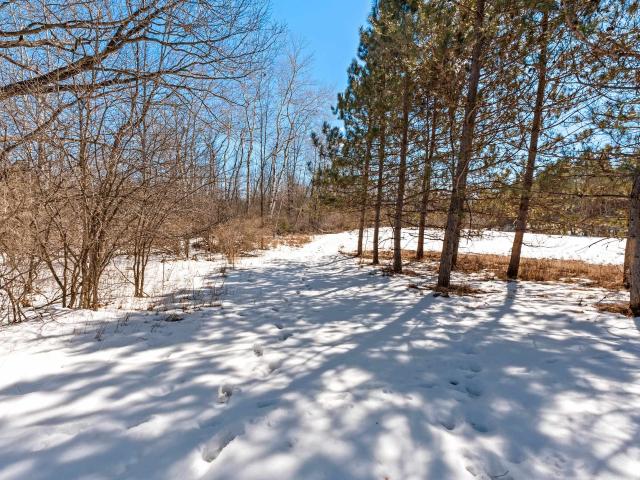 Property for sale in Tigerton, Wisconsin
