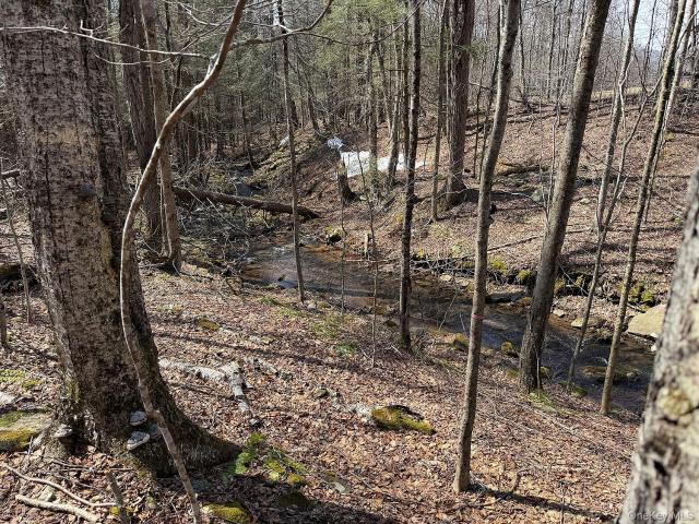 Land for sale in Roscoe, New York