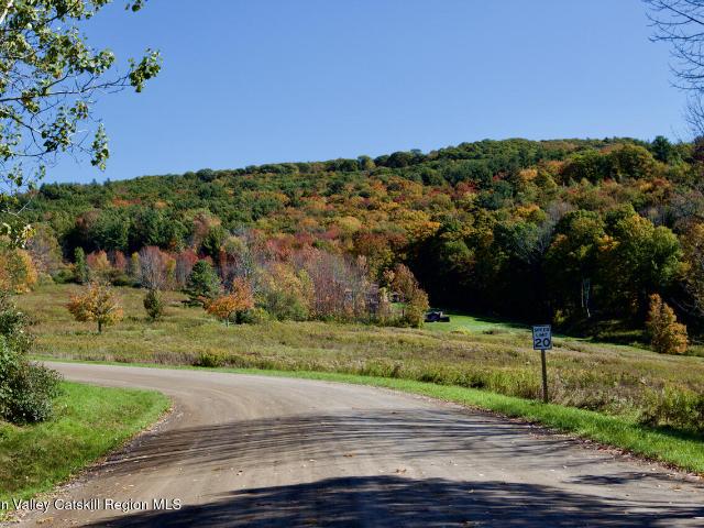 Land for sale in Town of Canaan, Columbia County