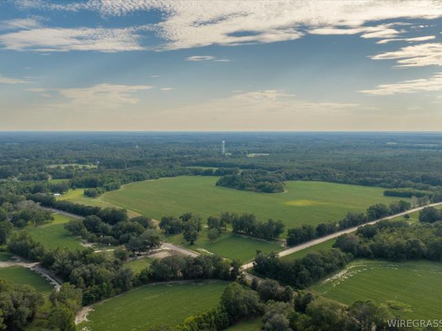Land for sale in Cottonwood, Alabama