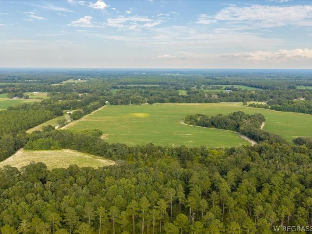 Land for sale in Cottonwood, Alabama