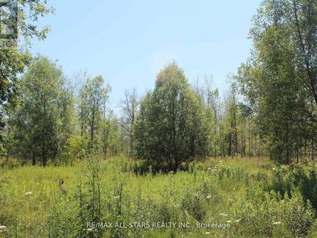 Land for sale in York, Ontario