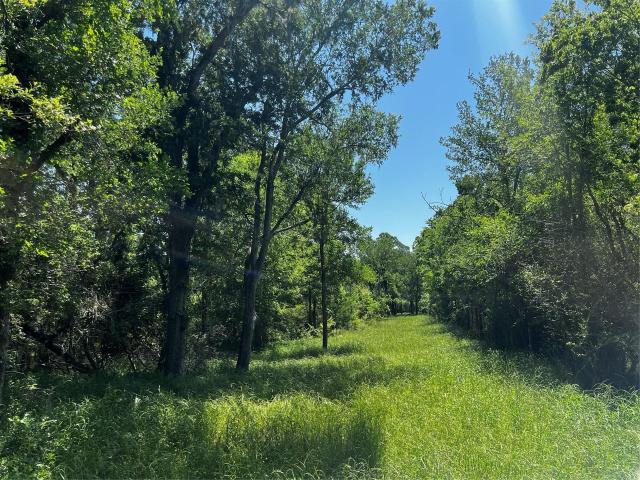 Land for sale in San Felipe, Texas