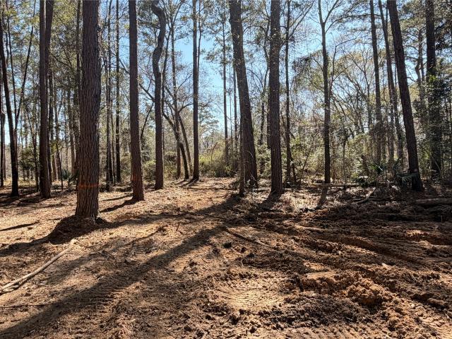 Land for sale in Magnolia, Texas