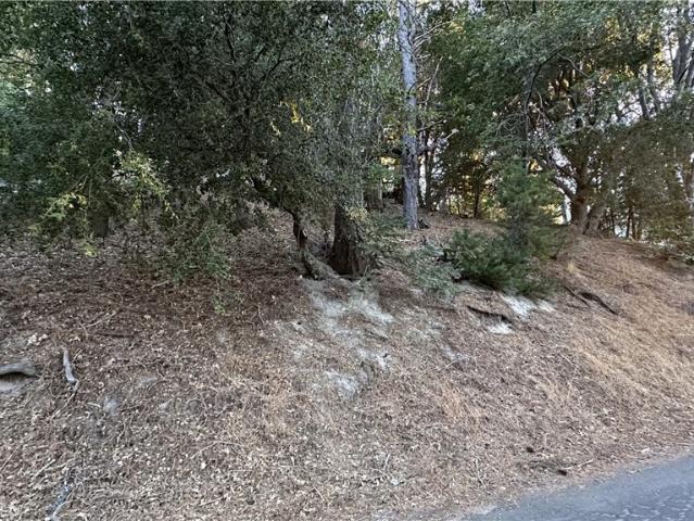 Land for sale in Twin Peaks, California