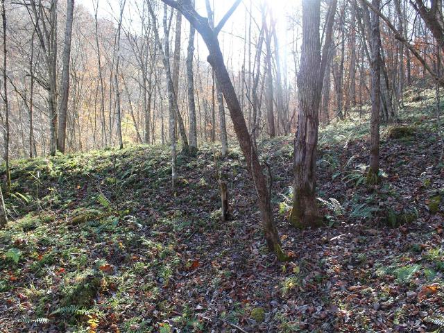 Land for sale in Boons Camp, Kentucky