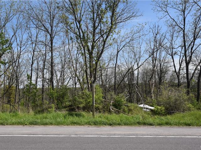 Land for sale in Oneida, New York