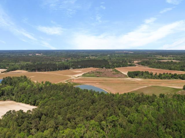 Land for sale in Statesboro, Georgia