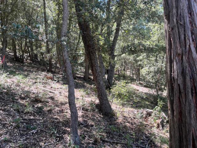 Land for sale in Idyllwild, California