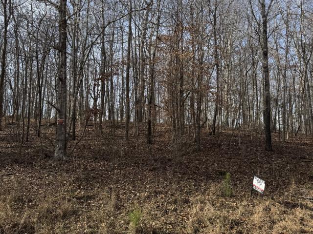 Land for sale in Tennessee