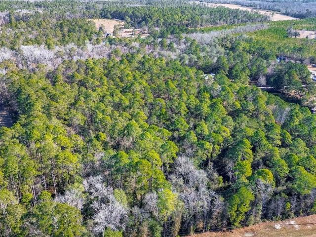 Land for sale in Guyton, Georgia