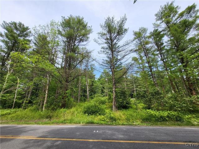 Land for sale in Brooktondale, New York