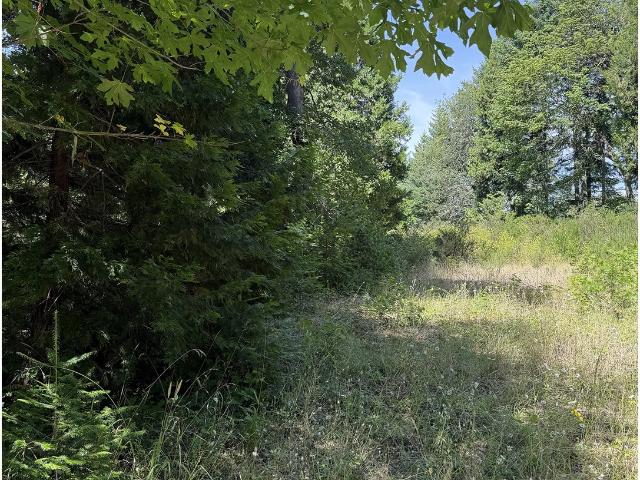Land for sale in Oregonia