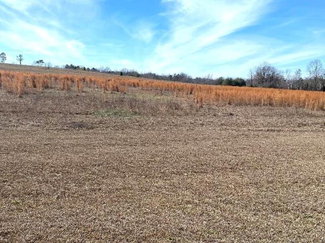 Land for sale in Bartow, Georgia