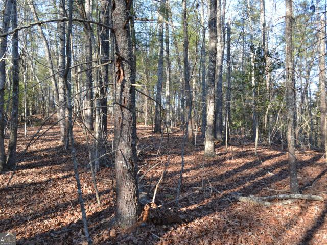 Land for sale in Cleveland, Georgia