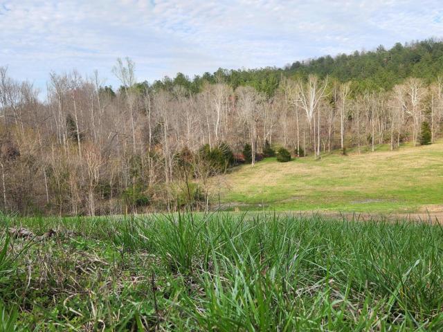 Land for sale in Tennessee