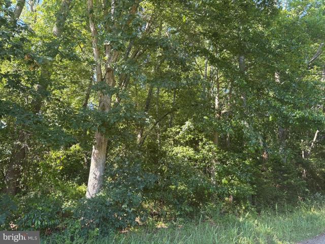 Land for sale in Belle Mead, New Jersey