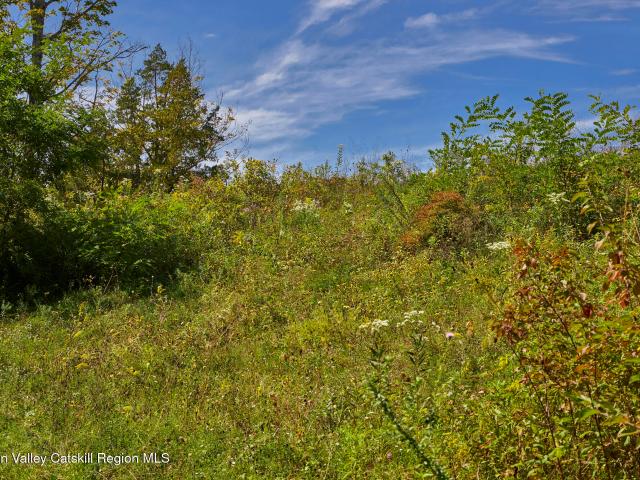 Land for sale in Rhinebeck, New York
