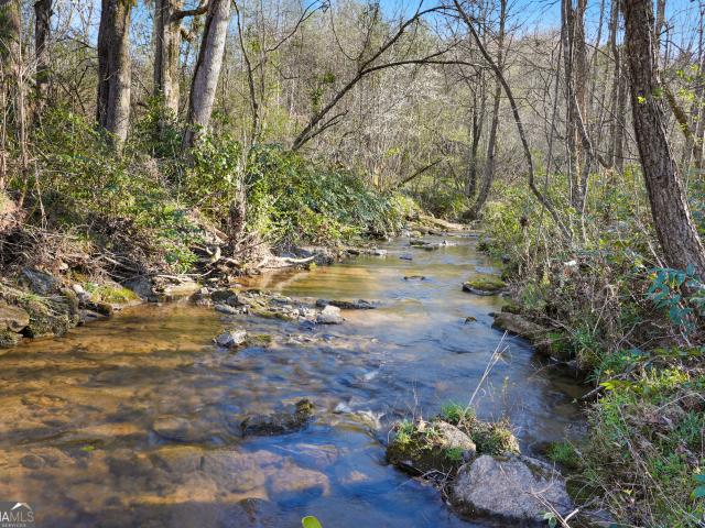 Land for sale in Georgia