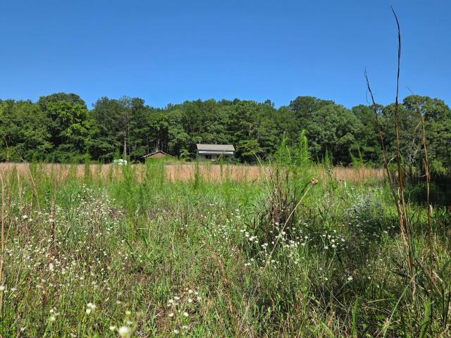 Land for sale in Monticello, Georgia