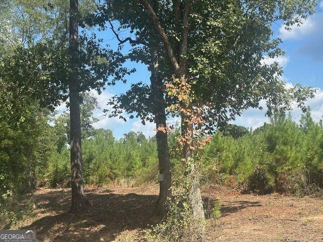 Land for sale in Monticello, Georgia