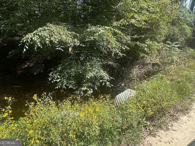 Land for sale in Monticello, Georgia
