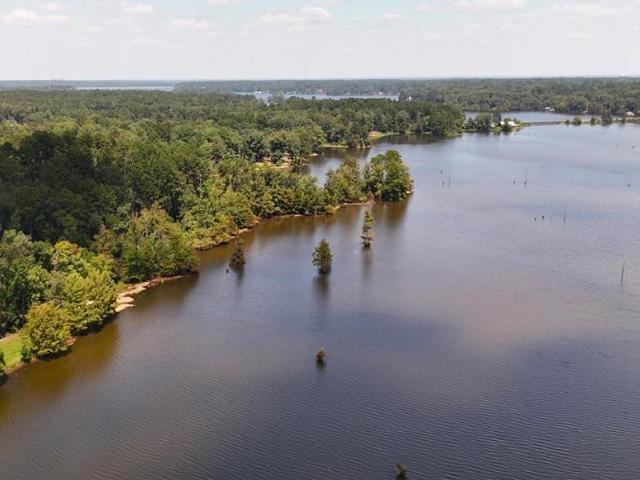 Land for sale in Boyce, Louisiana
