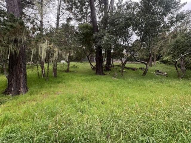 Land for sale in California