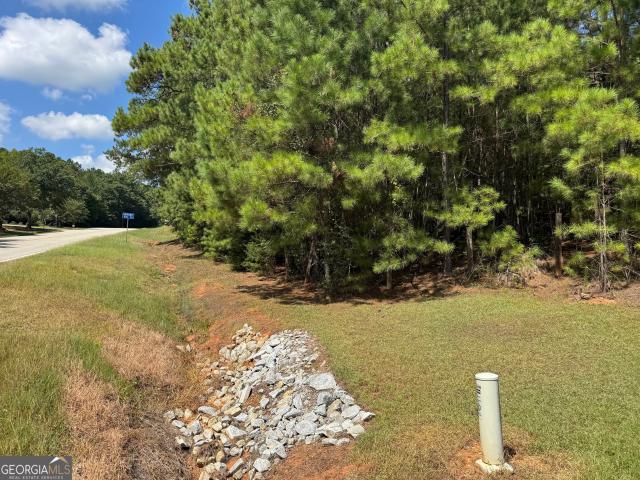 Land for sale in Elbert, Georgia