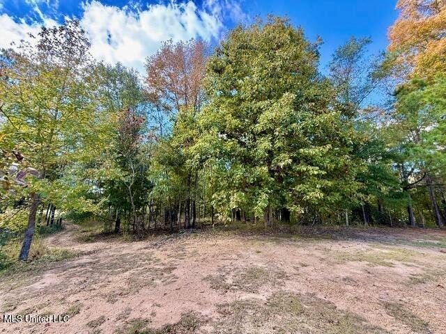 Property for sale in Wesson, Mississippi