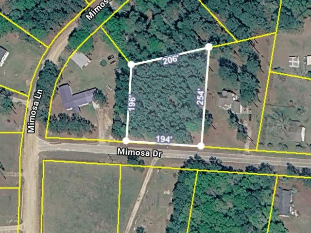 Land for sale in Norman Park, Georgia