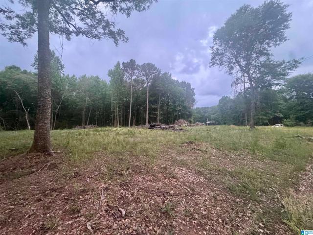 Land for sale in Clanton, Alabama