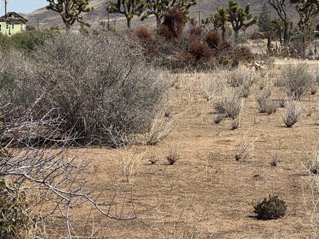 Land for sale in Pioneertown, California