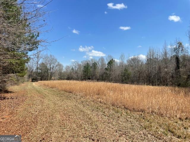 Land for sale in Roberta, Georgia