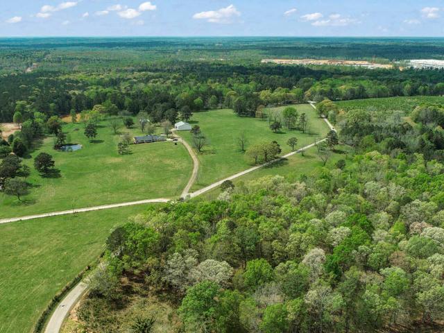 Land for sale in Hampton, Georgia