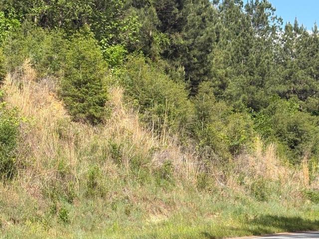 Land for sale in Crosby, Mississippi