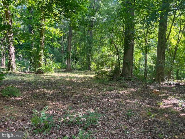 Land for sale in Delaware