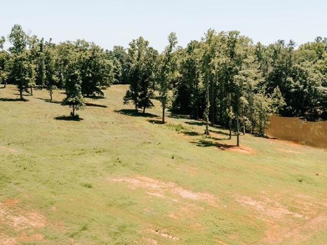 Land for sale in Colbert, Georgia