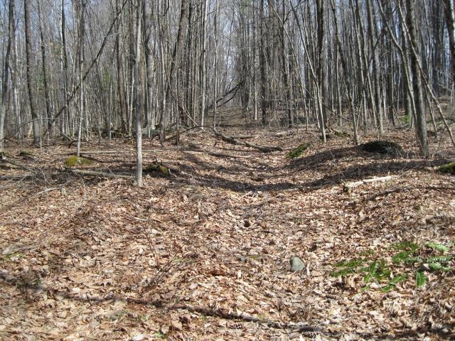 Land for sale in Berkshire, Massachusetts