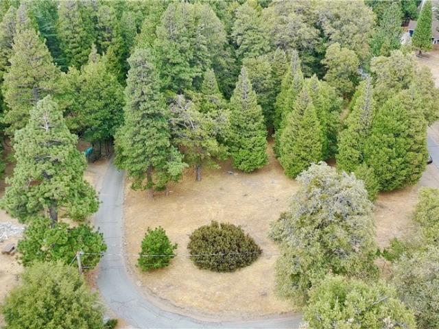 Land for sale in Cedarpines Park, California