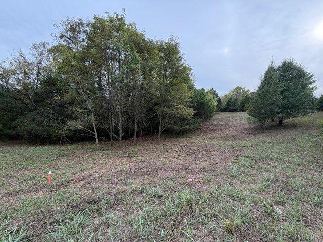 Land for sale in Moneta, Bedford County