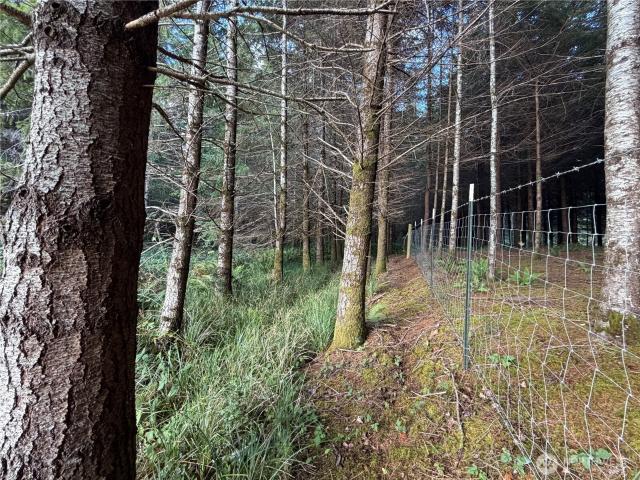 Land for sale in Willapa, Raymond