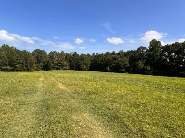 Land for sale in Comer, Georgia