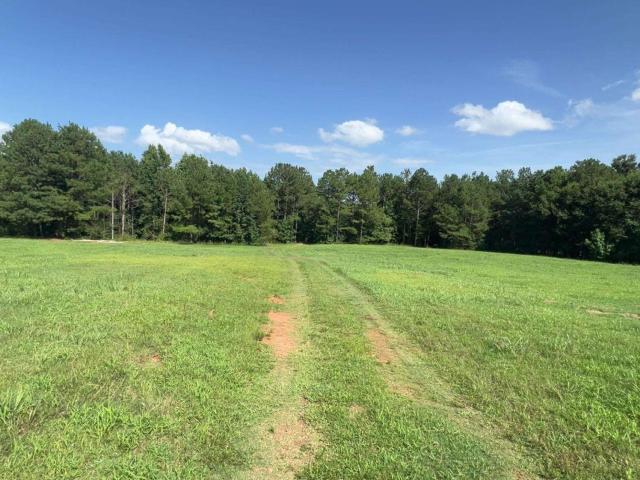 Land for sale in Comer, Georgia