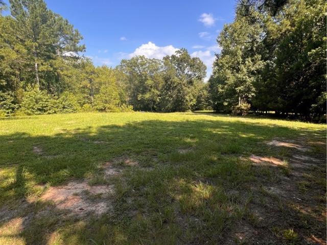 Land for sale in Comer, Georgia