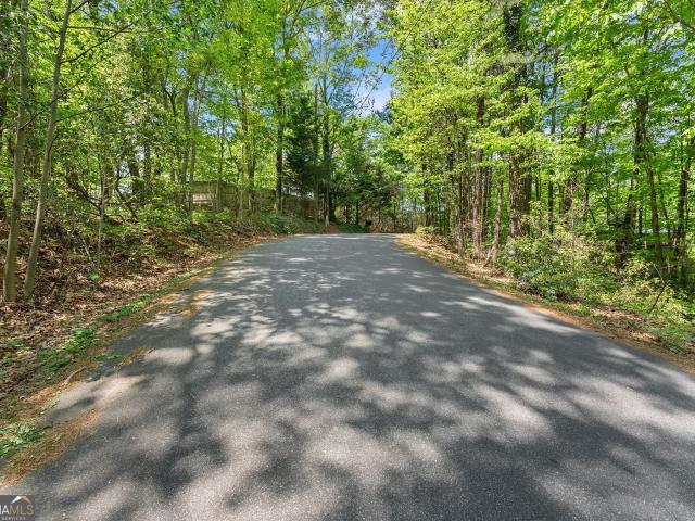 Land for sale in Georgia