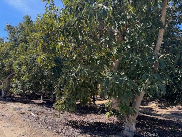 Land for sale in Temecula