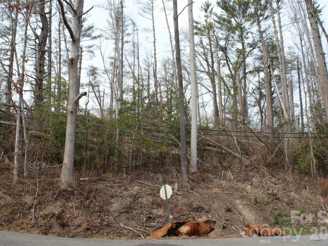 Land for sale in Spruce Pine, North Carolina