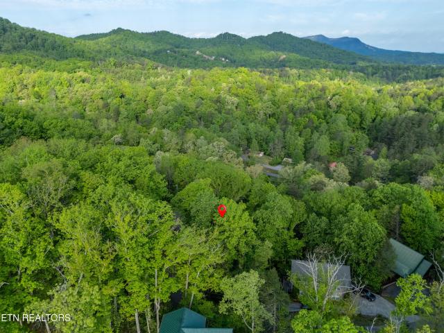 Land for sale in Tennessee