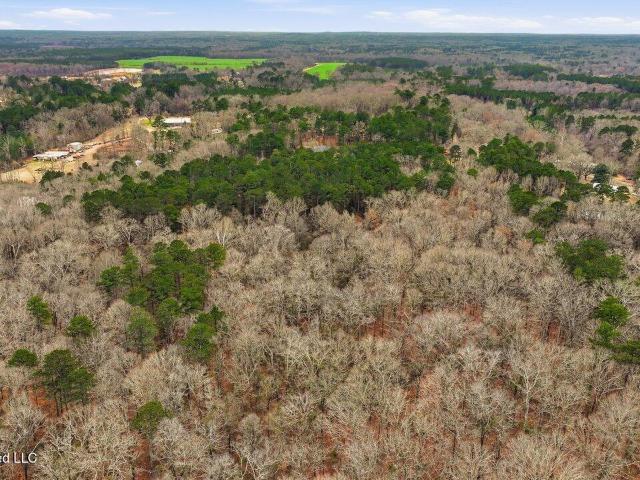 Land for sale in Florence, Mississippi